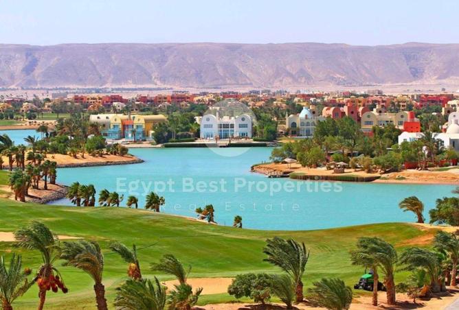 7917551 - صورة العقار 3