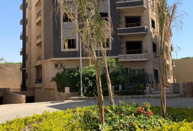 8045159 - صورة العقار 3