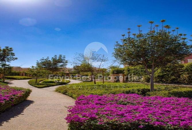 8133006 - صورة العقار 3