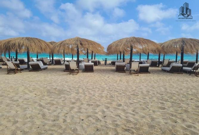 8376171 - Property Image 3