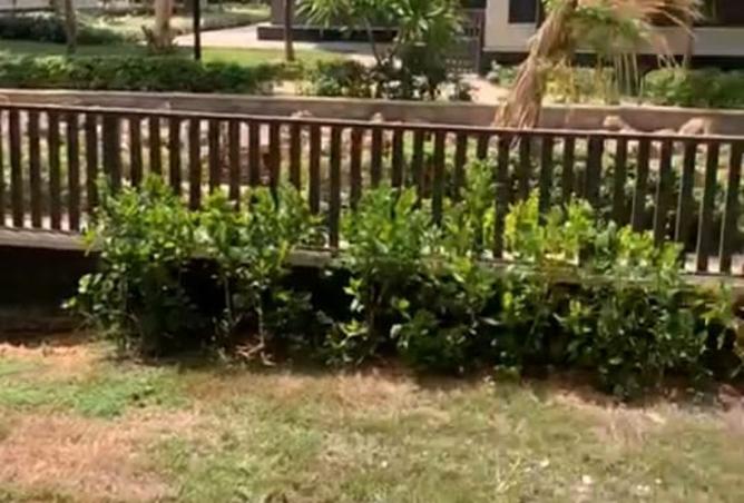 8266550 - Property Main Image