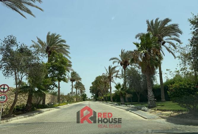 7914783 - صورة العقار 3