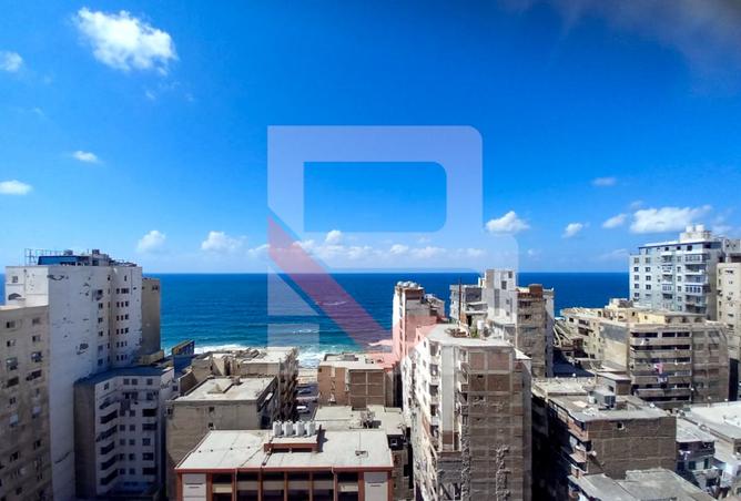 7931568 - Property Image 2