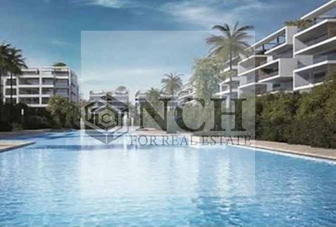 8223374 - Property Image 2