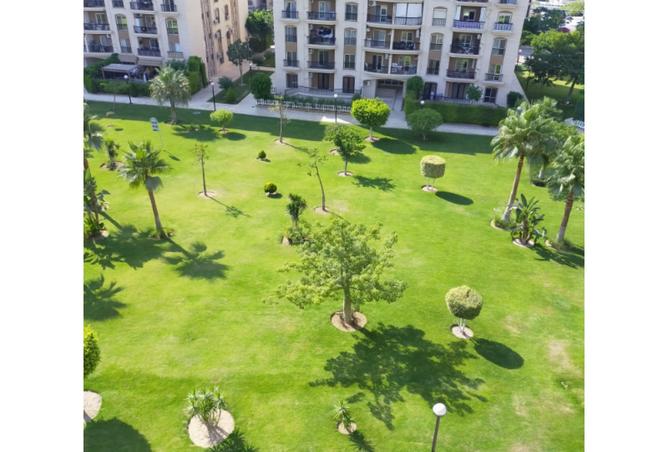 8500652 - Property Image 2