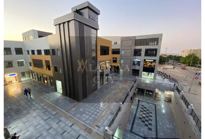 8436511 - Property Image 3