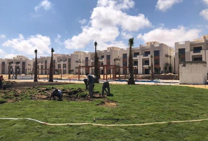 8152362 - Property Image 3