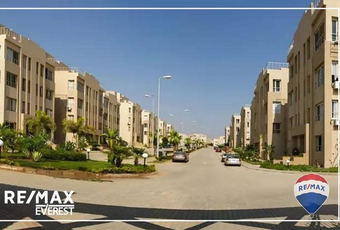 8154616 - Property Image 3