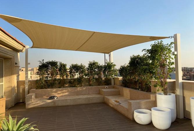 8310274 - Property Main Image