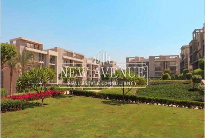 8490131 - Property Image 3