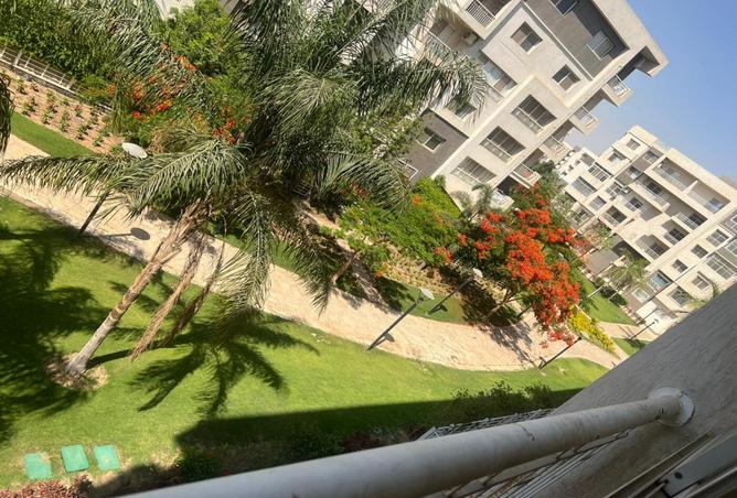 7986268 - Property Image 3