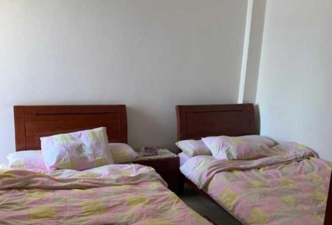 7952335 - صورة العقار 2