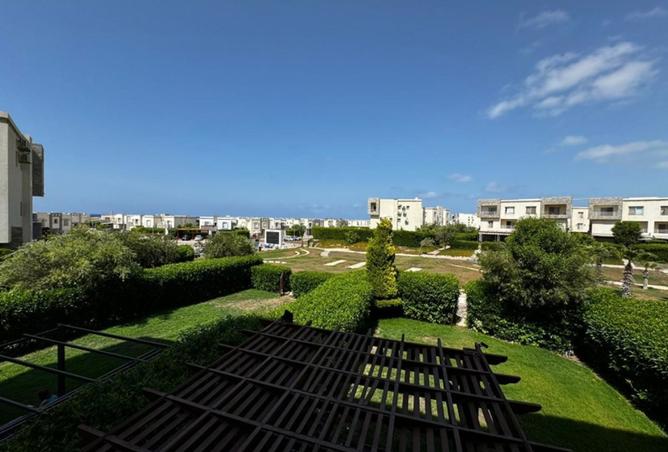 8384979 - Property Image 2