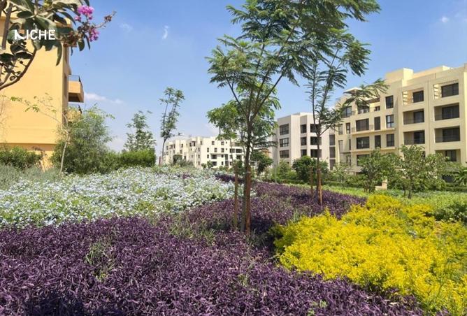 8351757 - الصورة الرئيسية للعقار