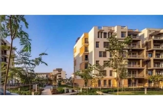 8155131 - Property Image 2