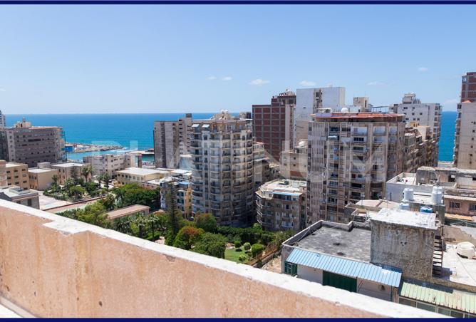 7381596 - Property Image 3