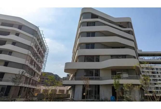 8432619 - Property Image 3