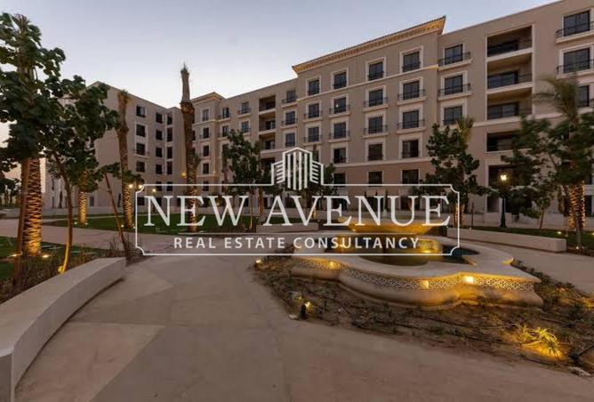 8286077 - Property Image 3