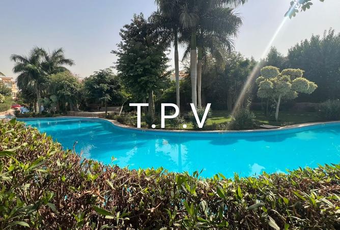 8309284 - Property Image 2