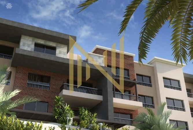 8212691 - Property Image 3