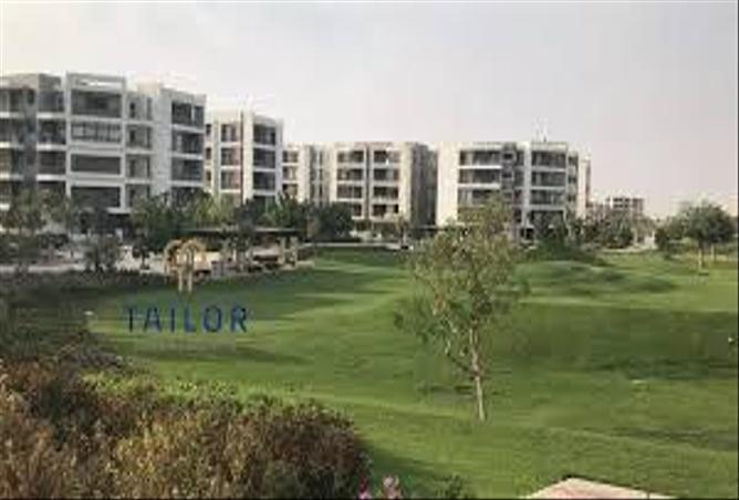 7970006 - صورة العقار 3