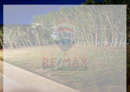 Apartment - 1 bedroom - 2 bathrooms for للبيع in New Giza - Cairo Alexandria Desert Road - 6 October City - Giza