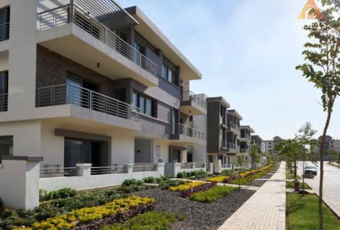 8293097 - صورة العقار 2