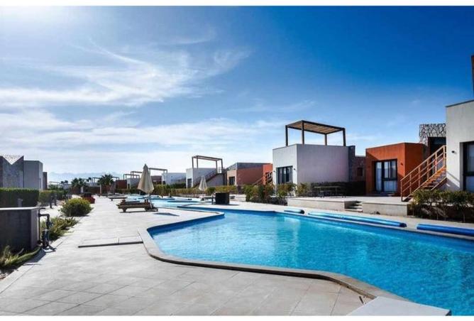 8292819 - Property Image 3