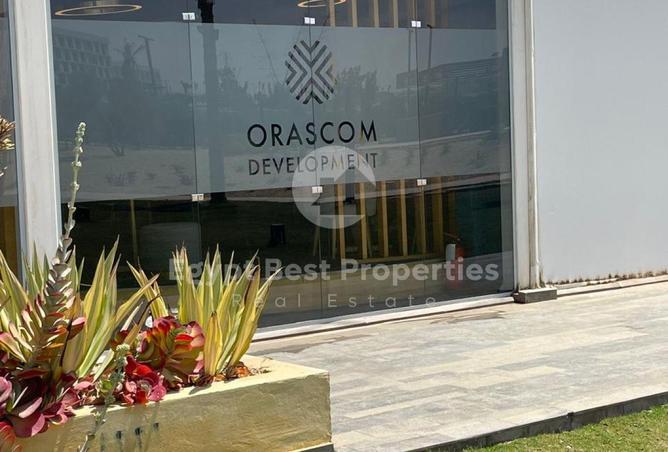 8385306 - Property Image 2