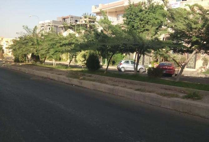 8066733 - Property Image 3