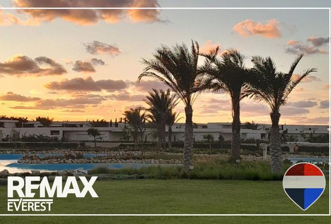 8403661 - صورة العقار 3