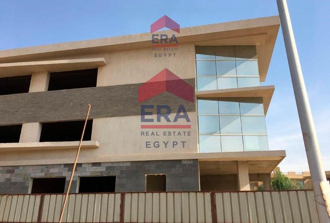 8424604 - صورة العقار 3