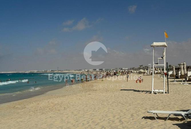 8124829 - Property Image 2