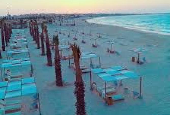 8332624 - Property Image 2