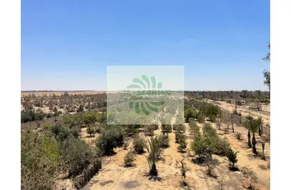 Land - Studio for sale in Cairo Alexandria Desert Road - 6 October City - Giza