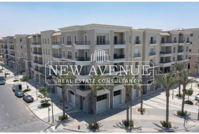 8410788 - Property Image 2