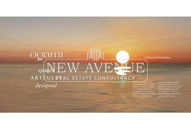 8338457 - Property Image 3