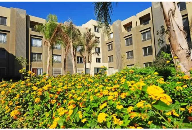 8098217 - Property Image 2