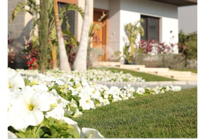 8402908 - صورة العقار 3