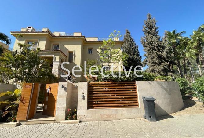 8067531 - Property Image 3