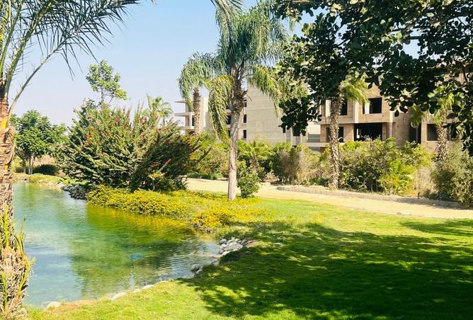 8362665 - Property Image 3