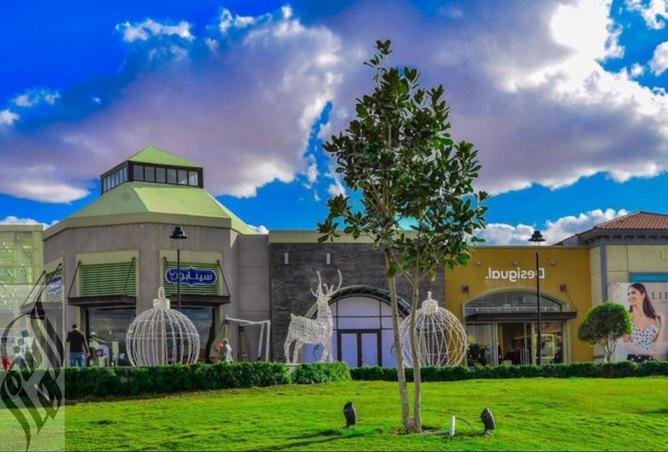 8199593 - صورة العقار 3