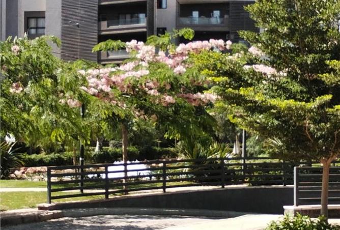 8010257 - صورة العقار 3