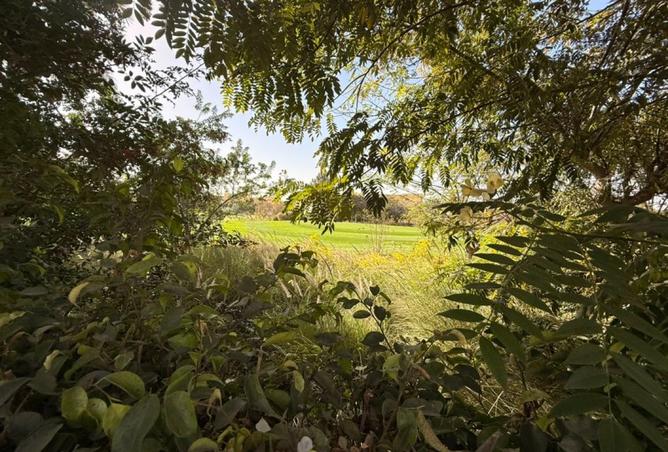 8558129 - الصورة الرئيسية للعقار