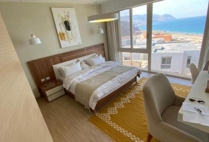 8391205 - Property Image 3