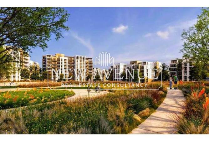 8215818 - Property Image 3