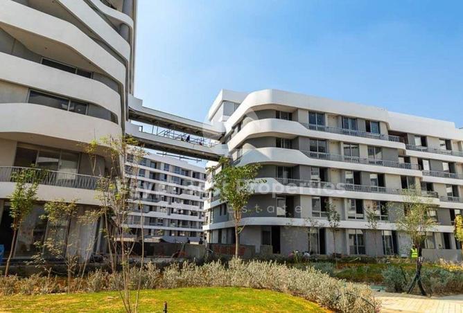 8396879 - Property Image 3