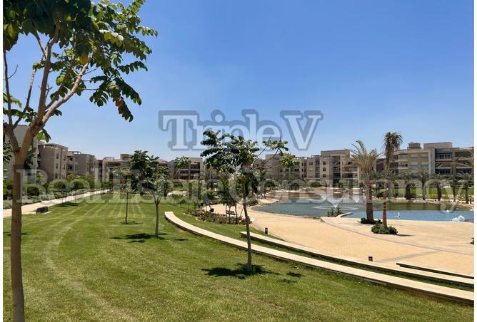 8187322 - Property Image 3