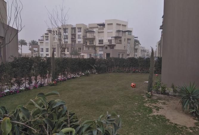 8164655 - صورة العقار 2