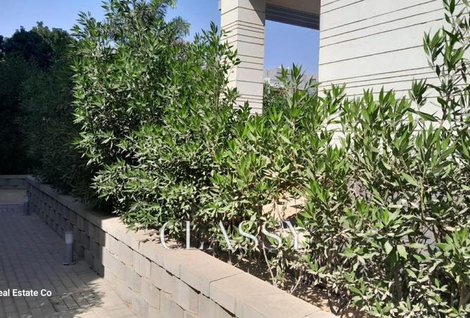 8004806 - صورة العقار 3